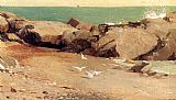 Rocky Canvas Paintings - Rocky Coast and Gulls